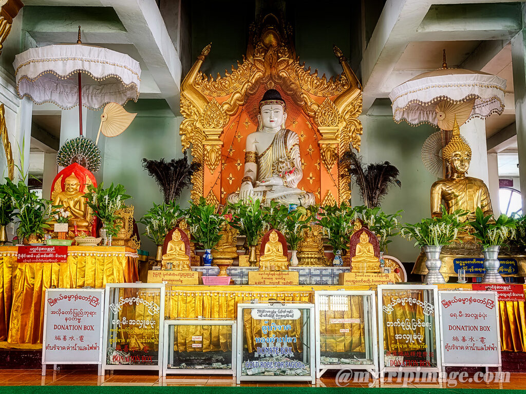 Enrobed Elephant Temple (5)