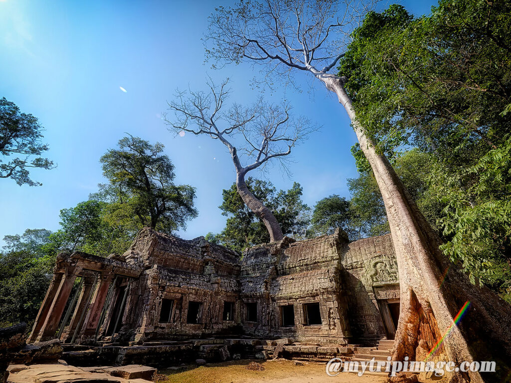 Ta Prohm (1)