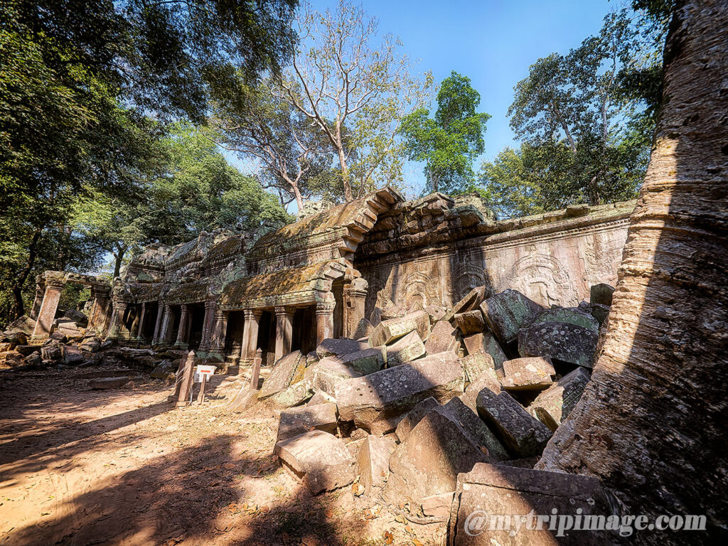 Ta Prohm (4)