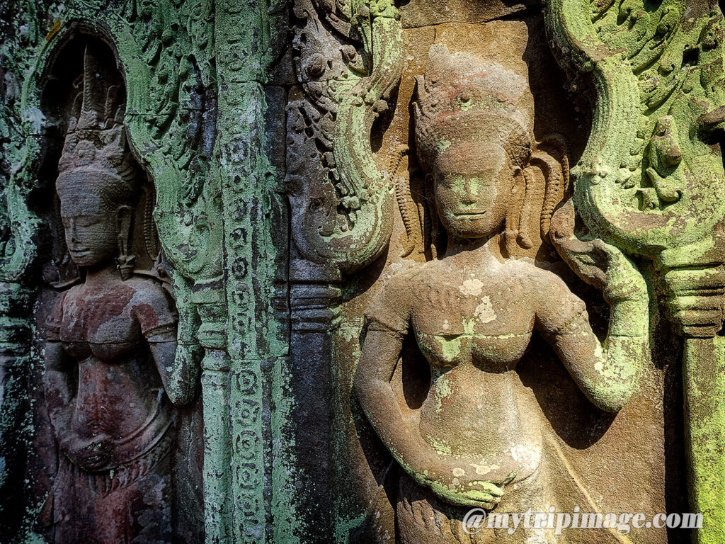 Ta Prohm (6)