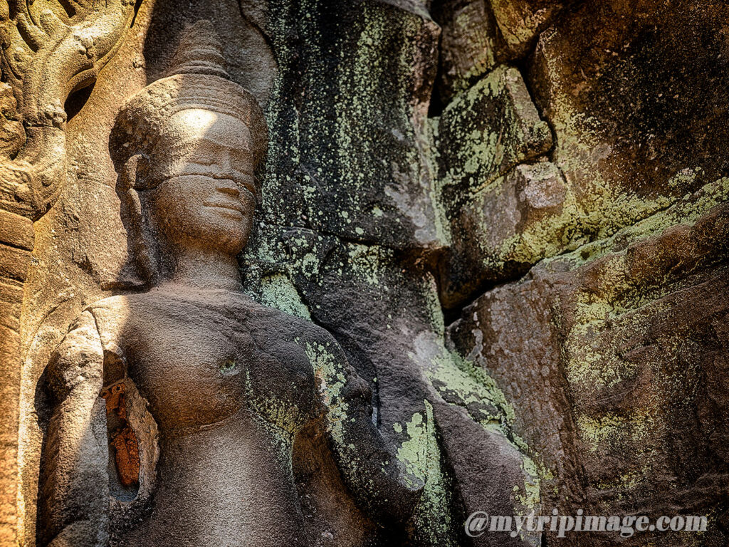 Ta Prohm (7)