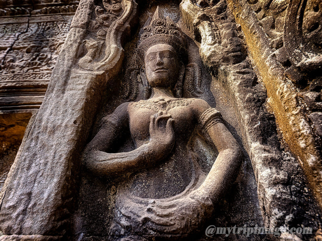 Ta Prohm (8)