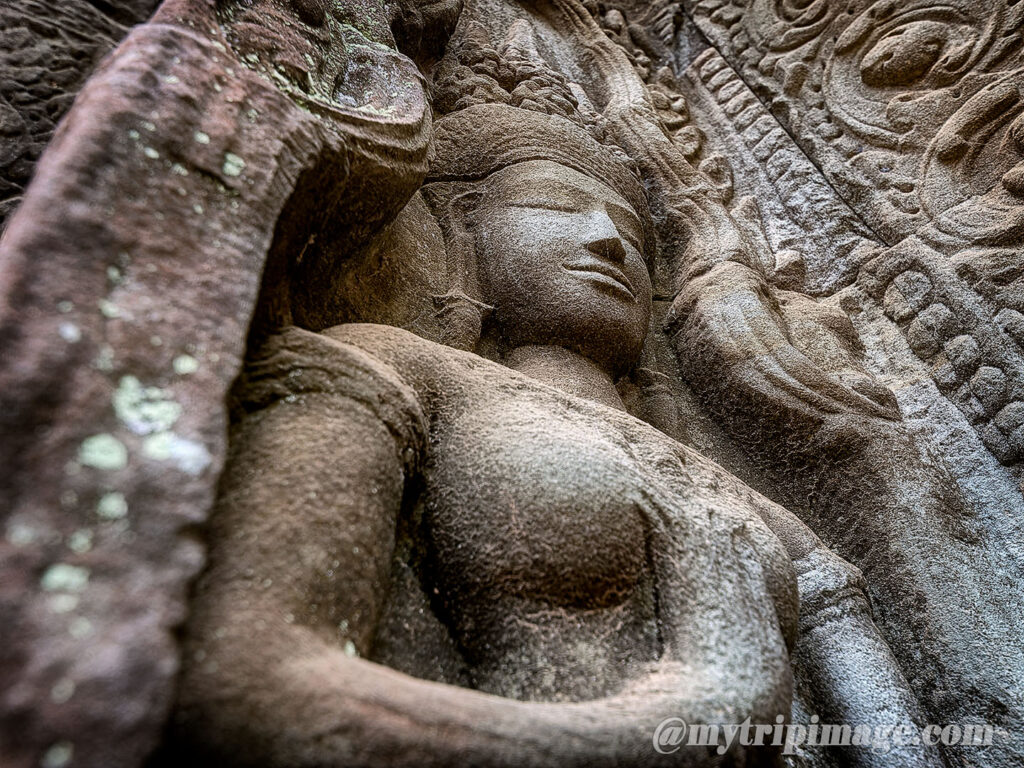 Ta Prohm (10)
