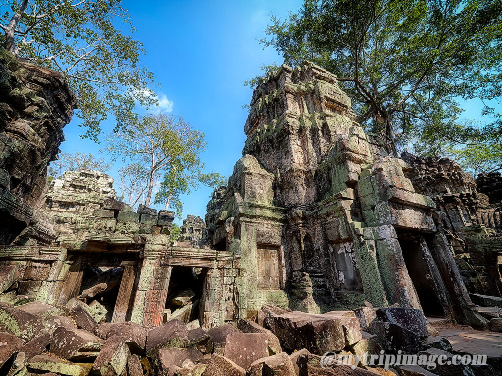 Ta Prohm (11)