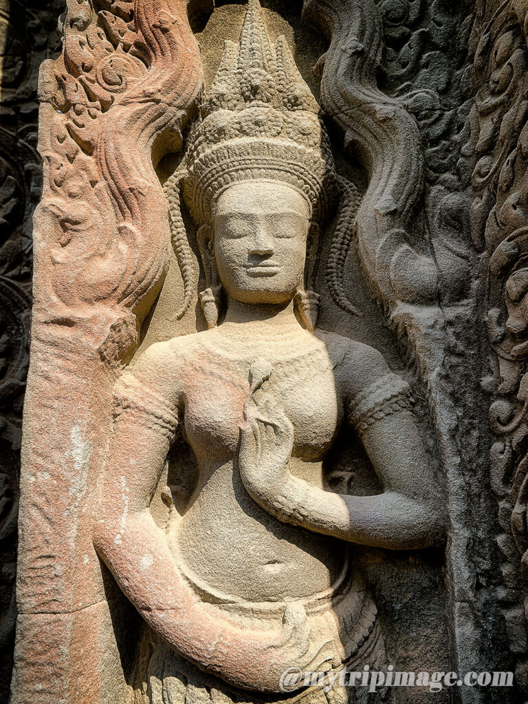 Ta Prohm (13)