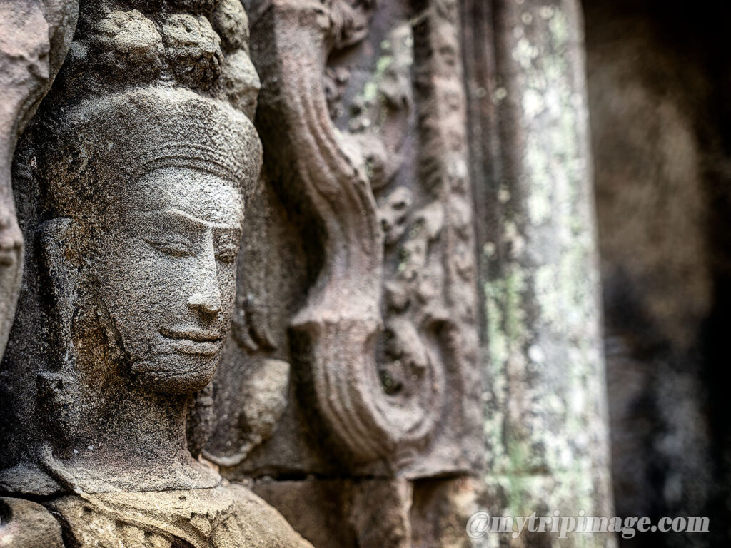 Ta Prohm (16)