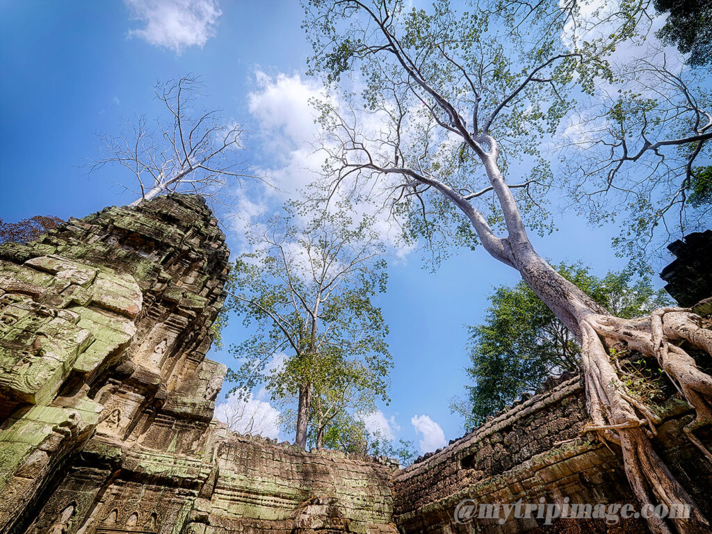Ta Prohm (18)
